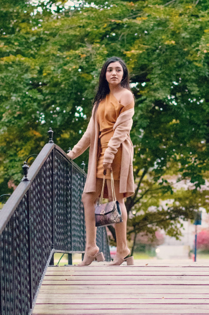 Camel Dress: 3 Ways to Style a Sweater Dress  Trendy sweaters, Sweater  dress, Camel dress